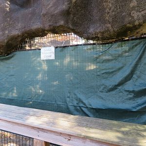 Closed Grotto Exhibit