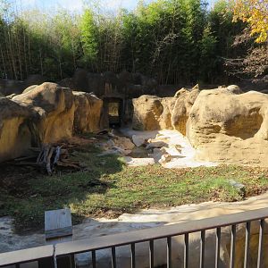 River Otter Exhibit