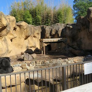 Sloth Bear Exhibit