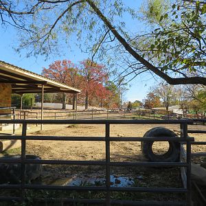 Black Rhino Yard