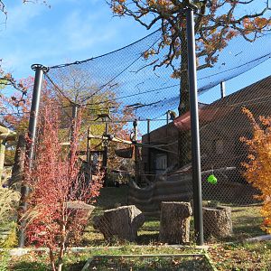 New African Monkey Exhibit