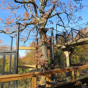 New African Monkey Exhibit