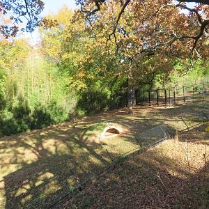 Cheetah Exhibit (Right Side)