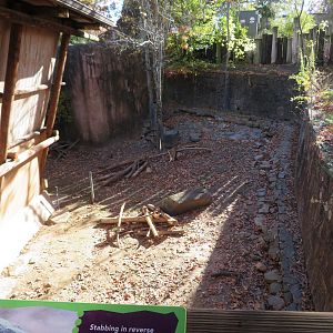 Indian Crested Porcupine Exhibit