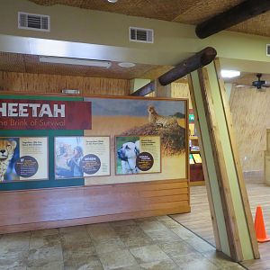 Cheetah Conservation Outpost