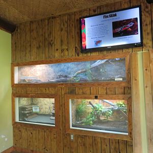 Cheetah Conservation Outpost - Herp Tanks