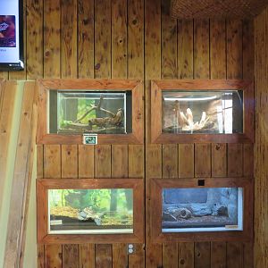 Cheetah Conservation Outpost - Herp Tanks