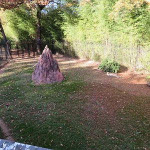 Cheetah Exhibit - Left Side