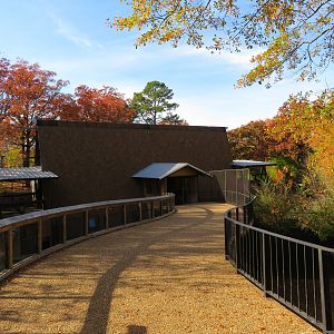 Cheetah Conservation Outpost