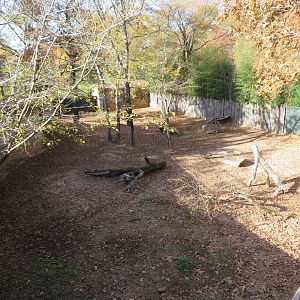 Chacoan Peccary Yard