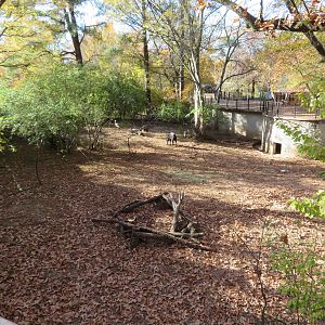 Duiker/Crowned Crane Yard