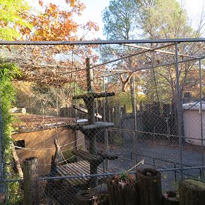 Lar Gibbon Exhibit