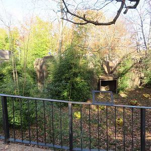 Jack-o-Lantern Exhibit