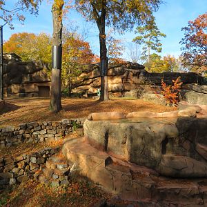 Malayan Tiger Exhibit