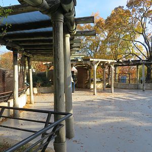 Big Cat Viewing Area