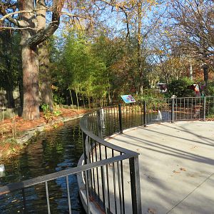 Moat Around Fence Around Red River Hogs