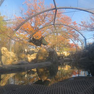 African Penguin Exhibit