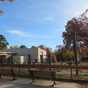 Asian Elephant Exhibit