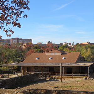 Black Rhino Yards & Skyline