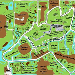 Expedition Congo - Forests