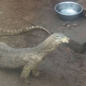 Argus Monitor lunch 11/12/21
