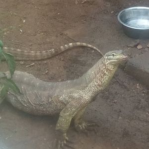 Argus Monitor 11/12/21