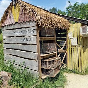 Madagascarian animal shop