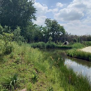 View into the Madagascar-area