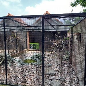 Budgerigar - Cockatiel aviary