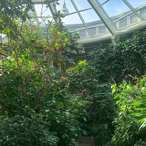 Nov. 2021- Butterfly garden