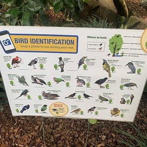 Nov. 2021- Aviary signage