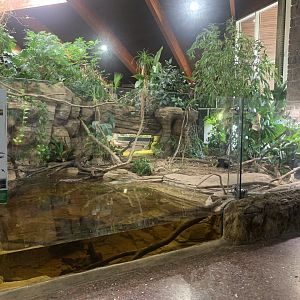 Nov. 2021- Asian water monitor exhibit
