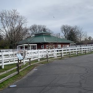Nov. 2021- Zoo Barn