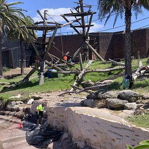 Construction on Chimp Enclosure