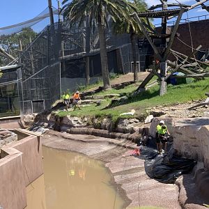 Construction on Chimp Enclosure