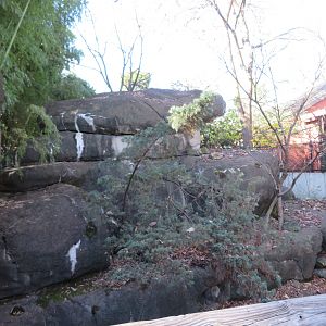 Empty Exhibit (formerly Klipspringer)