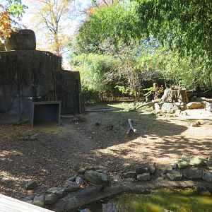 Capybara/Southern Screamer Exhibit