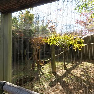 Cat Country - Example Cat Exhibit