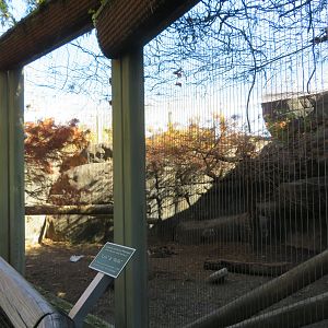 Cat Country - Example Cat Exhibit