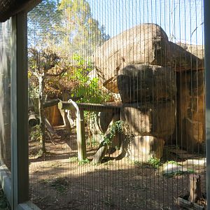 Cat Country - Example Cat Exhibit