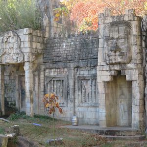 Tiger Exhibit Theming