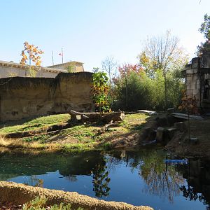 Tiger Exhibit (w/ Entrance in Background)