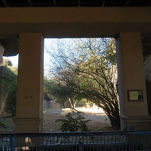 View into Lion Exhibit