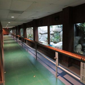 Tropical Bird House - Interior