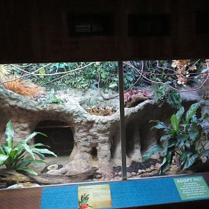 Goldie's Lorikeet Exhibit