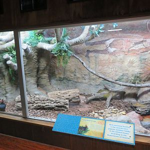 Crested Wood Partridge Exhibit