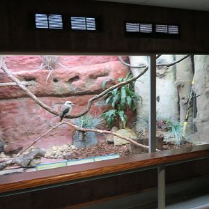 Kookaburra Exhibit