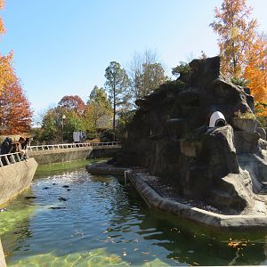 Part of Penguin Rock