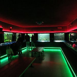 Aquarium - Right Side