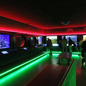 Aquarium - View of Left Half